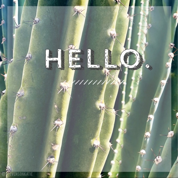 Hello. - Picture 1 of 4